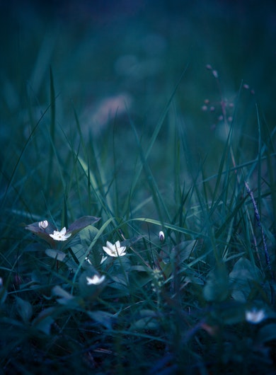 blog